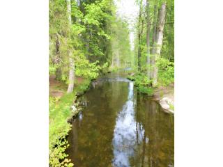 Ferienwohnung am Brunnen - 9