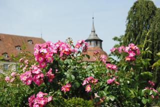 Apartment Remise - Langenbourg - 4