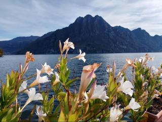 Casa Caterina - Riva di Solto - Iseo Lake - 4