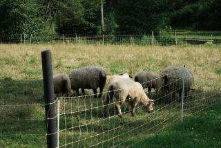 Gîte de l'Abbaye de l'Étanche - 6