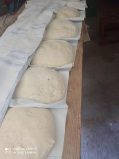 Agroturismo El Serrano - 8