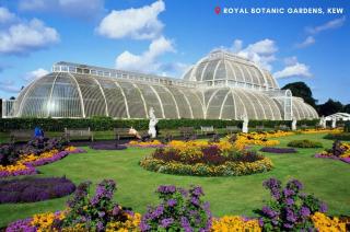 Ealing Broadway Great Stay 7-Minute Walk from the Underground - 4