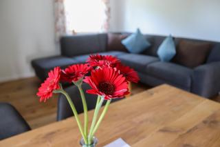 Rübenkämpers Ferienwohnungen - 5