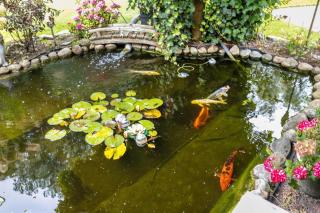 Ferienhaus Dohle - 7