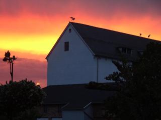 Ferienwohnung Wassergartenparadies - 6