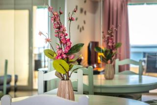 Urbanbeach Imperator - 4