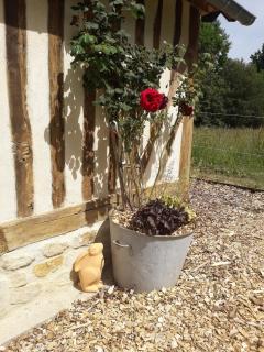 Le chouette insolite - Cresseveuille - 9