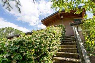 Il Giardino del Sole - Rosmarino - 6