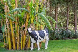 Casa de 10 - 4 Interior - 7