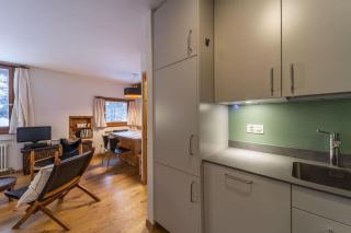 Chesa Piz Padella 1st Floor - Celerina - 8