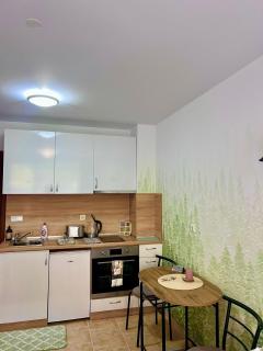 Flat F6 Bansko Rentals - 5