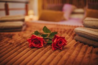 Le Desirella gite De Charme Spa - 9