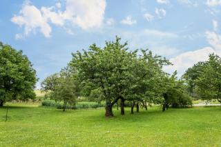 Ferienwohnung Ellenweiler bis 10 P - 8