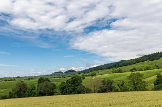 Ferienwohnung in den Bachteln - 9