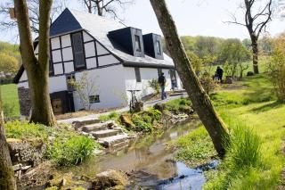 Michels Mühle - wieder Land sehen - 7