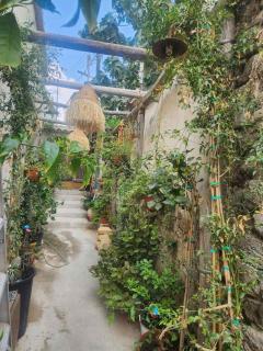 Tina's Art Home - Venetian Walls District - 4