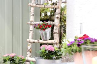 Ferienwohnung Hengemes, 45qm - 6