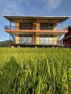 ເຂົ້າໜຽວຟາມສະເຕ-Kao Niaw Farmstay - 5