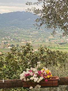 Casa dell'uliveto - 9