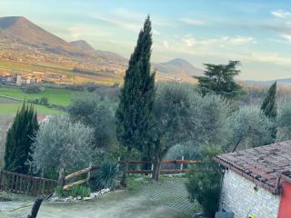 Casa dell'uliveto - 8