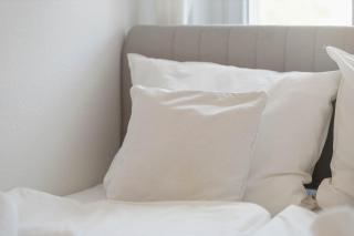 Fewo Fritz am Bauhausmuseum - 9