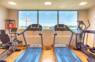 Borgo Syrah - Cortona - 4