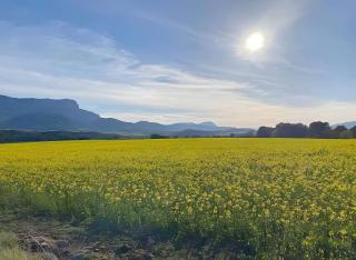 Un duplex con encanto - 8