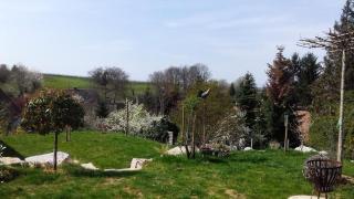 Ferienwohnung Rebgärtle - 8