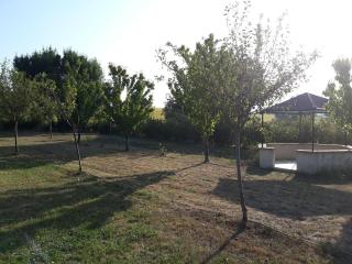 Grand Gite De Gascogne - 12 Places -  - 7