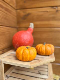 La Parenthèse Enchantée - 8