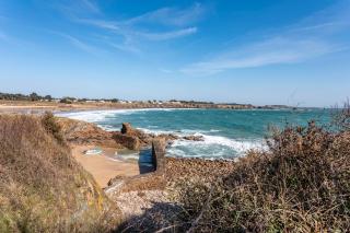 Maison 250m plage - grand jardin - 8