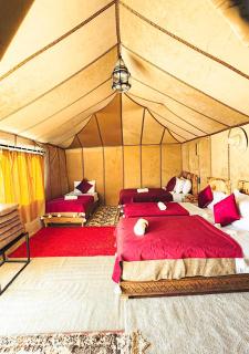 Elysium Dunes Camp - 8