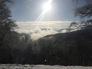 Müllerjörgenhof - 7