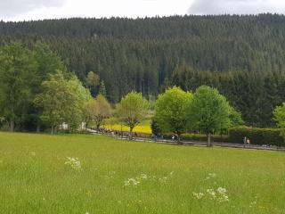 Residenz Am See - Fewo 1 und Fewo 3 - 1