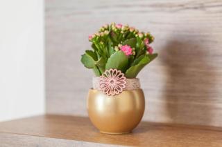 City Apartment Flora - 8