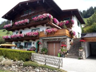 Landhaus Geisler - 8