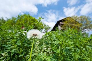 Gostnerhof Barbian - 6