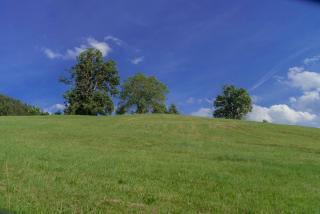 Ferienwohnung Heinrich - 9