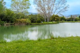 Les Iris le Lac de la Vallée - 6