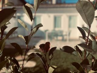 Villetta Bizantina - 6