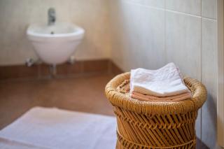 Mitterbruggehof Apt Silberdistel - 1