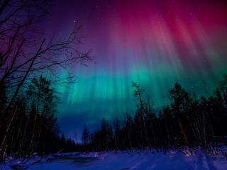 Holiday Cabin Levi Base Camp - North side - 5