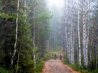 Holiday Cabin Levi Base Camp - North side - 4