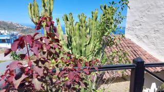 Aptos Monasterio de San Antonio 4 - 9