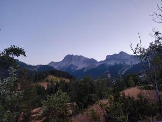 Les Cimes - La Canopée - La Ville - 9