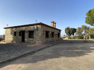 Finca olivar el pino - 9