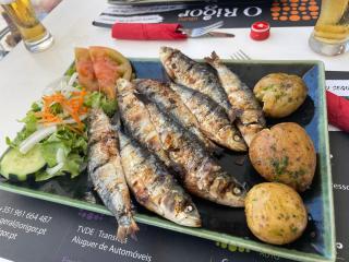 A casa da lua cheia - 5