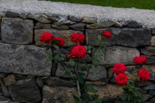 Oásis Fonte Grande - 7