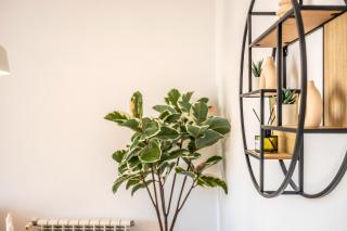 Casa Albatros - Poolside Retreat - 9