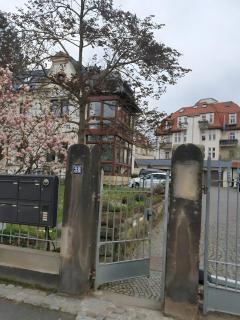 Romantikzimmer in Striesen - 8